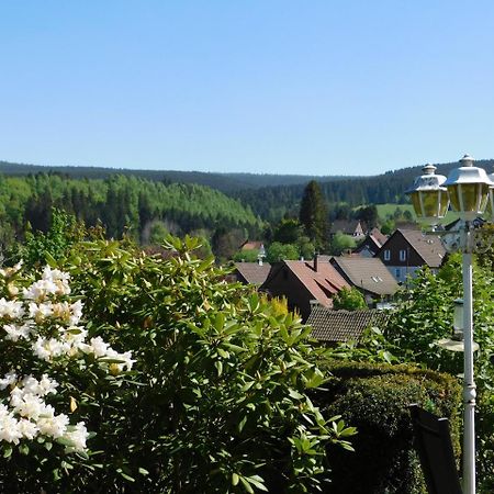 Pension Haus Petra Altenau  Dış mekan fotoğraf