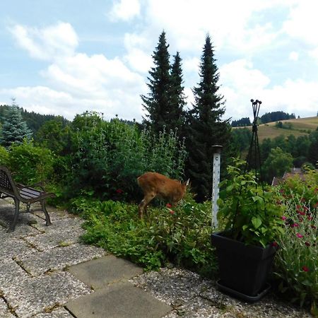 Pension Haus Petra Altenau  Dış mekan fotoğraf