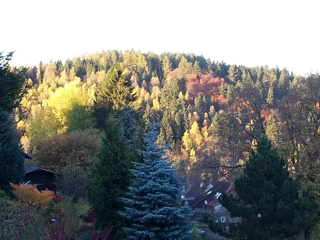 Pension Haus Petra Altenau  Dış mekan fotoğraf