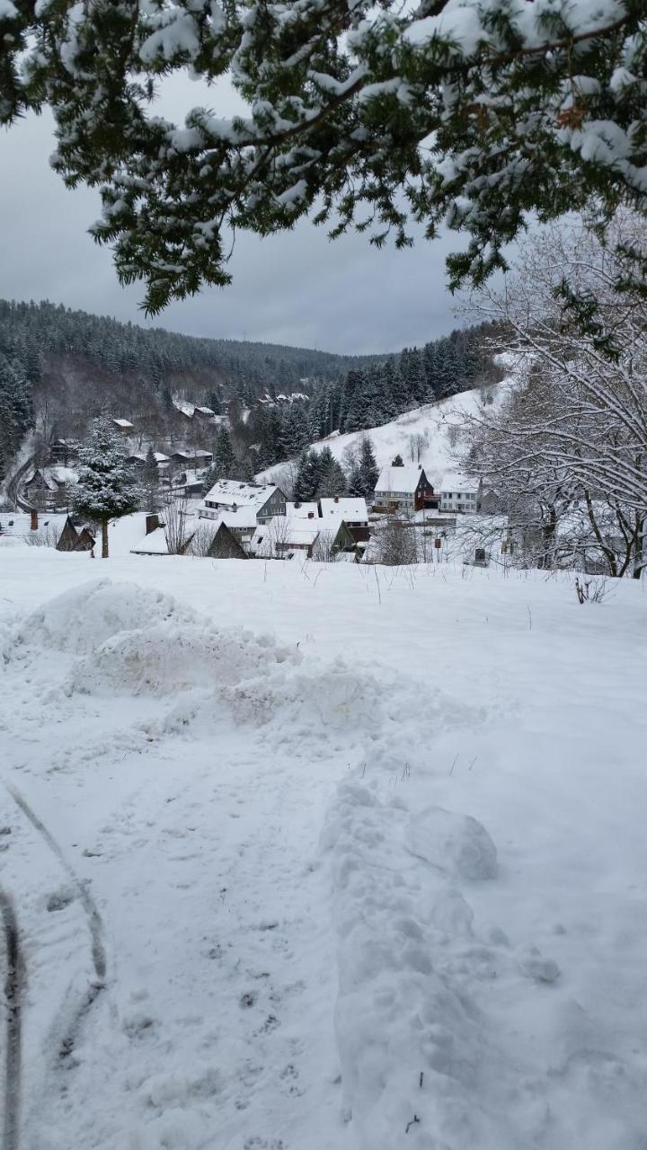 Pension Haus Petra Altenau  Dış mekan fotoğraf